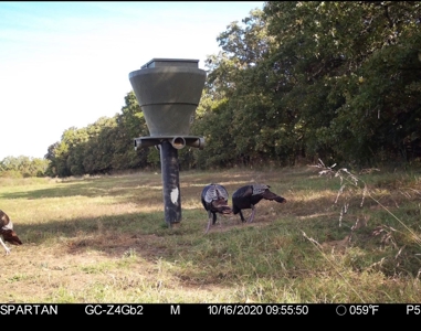 Premier Hunting & Cattle Ranch for Sale Near McAlester OK - image 46