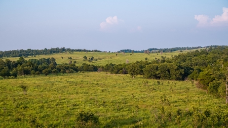 Premier Hunting & Cattle Ranch for Sale Near McAlester OK - image 34