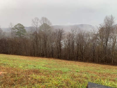 A Slice of Paradise Awaits You in Rock Harbor Subdivision! - image 10
