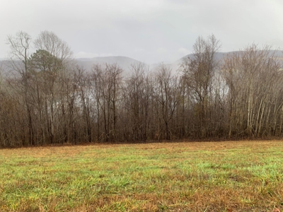 A Slice of Paradise Awaits You in Rock Harbor Subdivision! - image 9
