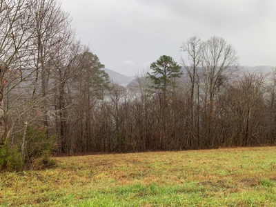A Slice of Paradise Awaits You in Rock Harbor Subdivision! - image 2