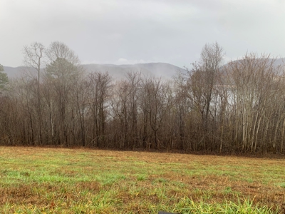A Slice of Paradise Awaits You in Rock Harbor Subdivision! - image 13