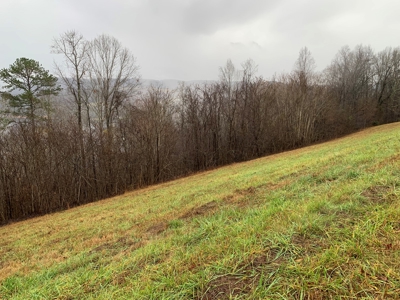 A Slice of Paradise Awaits You in Rock Harbor Subdivision! - image 4