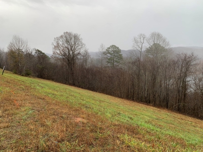 A Slice of Paradise Awaits You in Rock Harbor Subdivision! - image 11