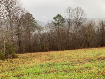 A Slice of Paradise Awaits You in Rock Harbor Subdivision! - image 3