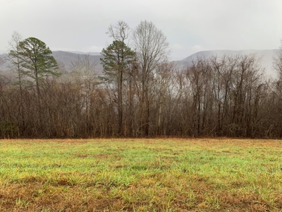A Slice of Paradise Awaits You in Rock Harbor Subdivision! - image 5