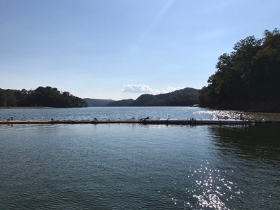 A Slice of Paradise Awaits You in Rock Harbor Subdivision! - image 21
