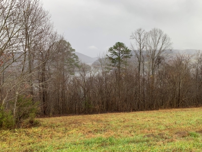 A Slice of Paradise Awaits You in Rock Harbor Subdivision! - image 1