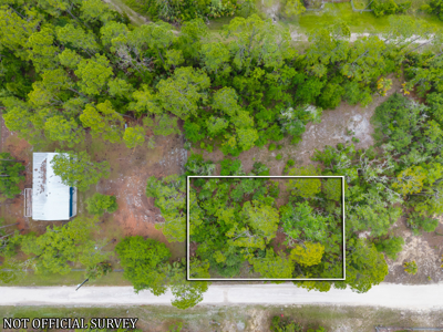 Vacant Lot For Sale - Suwannee Florida - image 4
