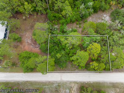 Vacant Lot For Sale - Suwannee Florida - image 8