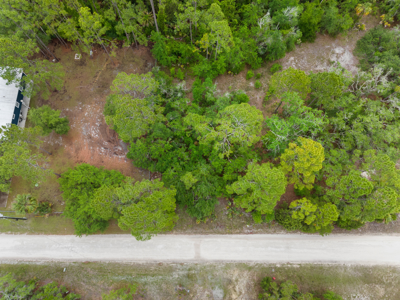 Vacant Lot For Sale - Suwannee Florida - image 14