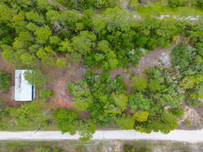 Vacant Lot For Sale - Suwannee Florida - image 11