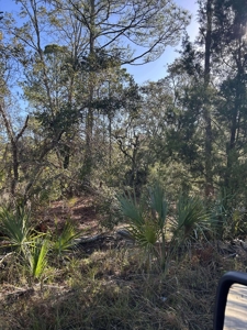 Vacant Lot For Sale - Suwannee Florida - image 1
