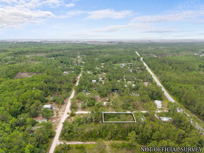 Vacant Lot For Sale - Suwannee Florida - image 10