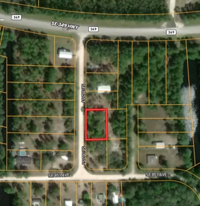 Vacant Lot For Sale - Suwannee Florida - image 2