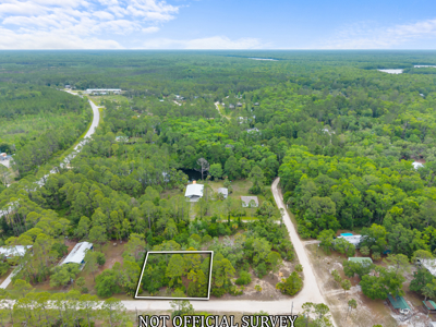 Vacant Lot For Sale - Suwannee Florida - image 6