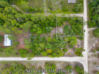 Vacant Lot For Sale - Suwannee Florida - image 3