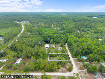 Vacant Lot For Sale - Suwannee Florida - image 8