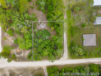Vacant Lot For Sale - Suwannee Florida - image 11
