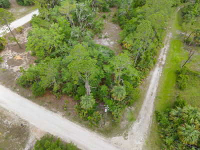 Vacant Lot For Sale - Suwannee Florida - image 12