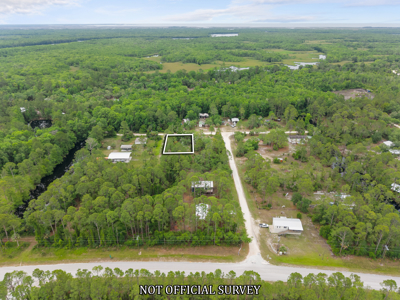 Vacant Lot For Sale - Suwannee Florida - image 15