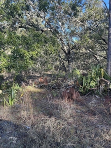 Vacant Lot For Sale - Suwannee Florida - image 2