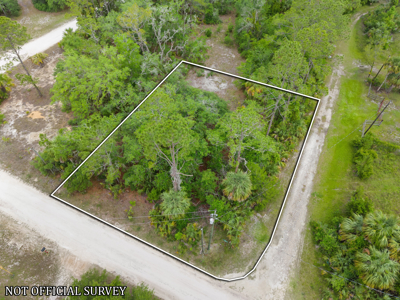 Vacant Lot For Sale - Suwannee Florida - image 13