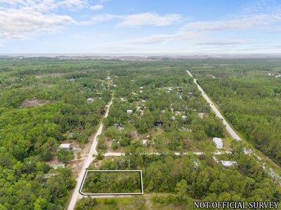 Vacant Lot For Sale - Suwannee Florida - image 16