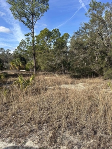 Vacant Lot For Sale - Suwannee Florida - image 1