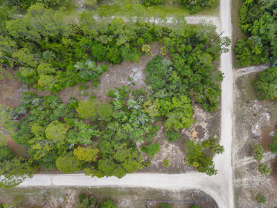 Vacant Lot For Sale - Suwannee Florida - image 5