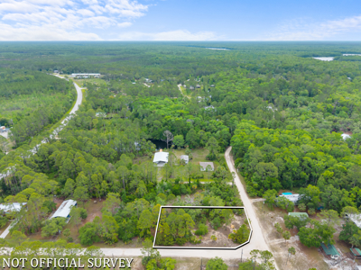 Vacant Lot For Sale - Suwannee Florida - image 12