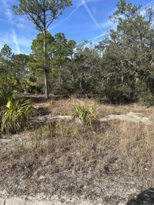 Vacant Lot For Sale - Suwannee Florida - image 2