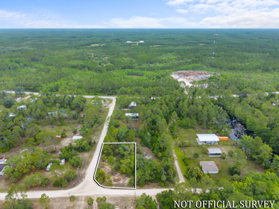 Vacant Lot For Sale - Suwannee Florida - image 13