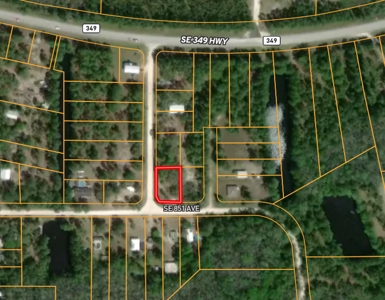 Vacant Lot For Sale - Suwannee Florida - image 3