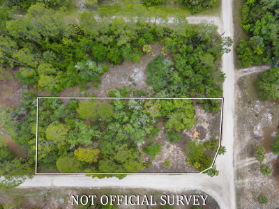 Vacant Lot For Sale - Suwannee Florida - image 4