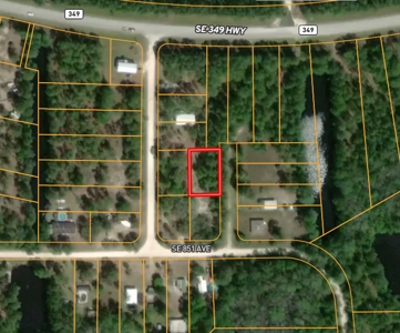Vacant Lot For Sale - Suwannee Florida - image 2