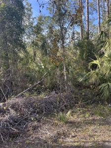 Vacant Lot For Sale - Suwannee Florida - image 1