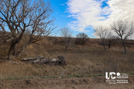 Graham Co. Kansas Premium Deer Hunting Land For Sale - image 15