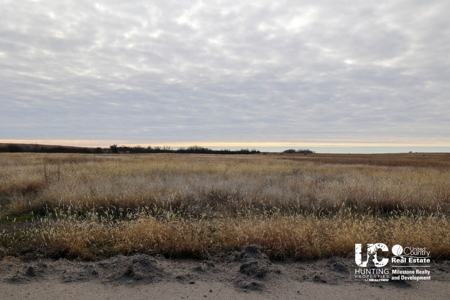 Graham Co. Kansas Premium Deer Hunting Land For Sale - image 13