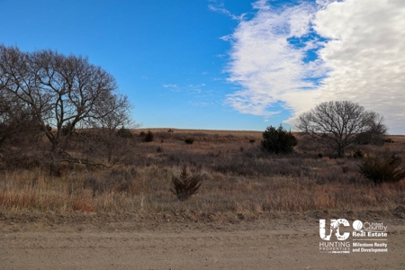 Graham Co. Kansas Premium Deer Hunting Land For Sale - image 17