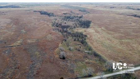 Graham Co. Kansas Premium Deer Hunting Land For Sale - image 5