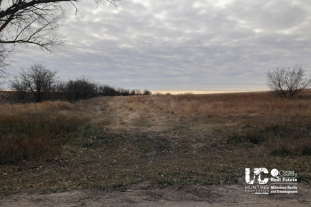Graham Co. Kansas Premium Deer Hunting Land For Sale - image 12