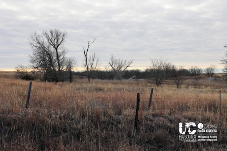 Graham Co. Kansas Premium Deer Hunting Land For Sale - image 10