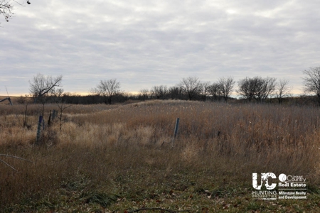 Graham Co. Kansas Premium Deer Hunting Land For Sale - image 11
