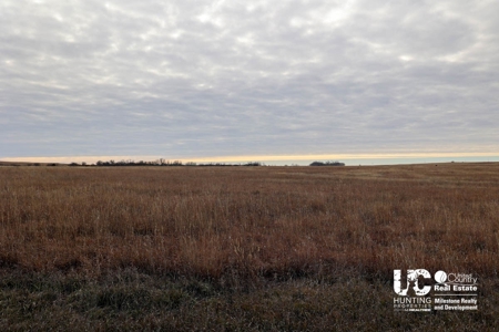 Graham Co. Kansas Premium Deer Hunting Land For Sale - image 14
