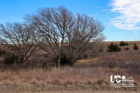 Graham Co. Kansas Premium Deer Hunting Land For Sale - image 18