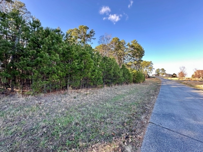 Land Near Lake Norfork In Mountain Home Arkansas - image 3
