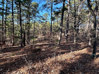 Land Near Lake Norfork In Mountain Home Arkansas - image 6