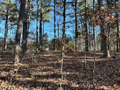 Land Near Lake Norfork In Mountain Home Arkansas - image 9