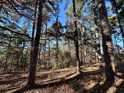 Land Near Lake Norfork In Mountain Home Arkansas - image 5